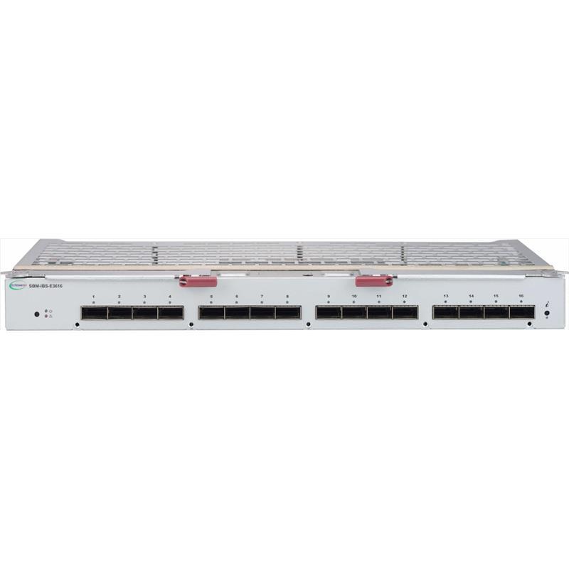Supermicro SBM-IBS-E3616 Blade Switch